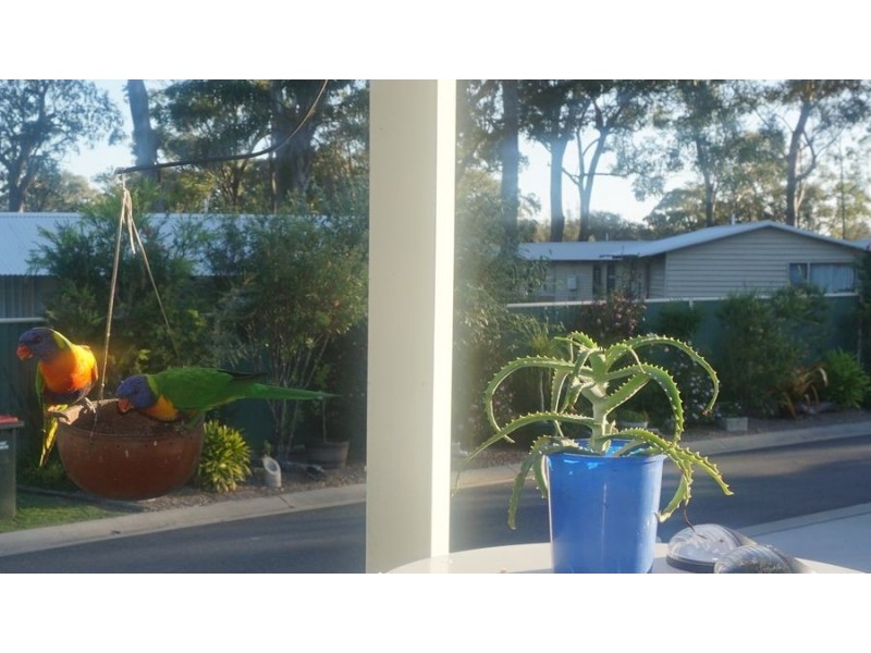 178 Robin Gordon Drive, Valla Beach NSW 2448