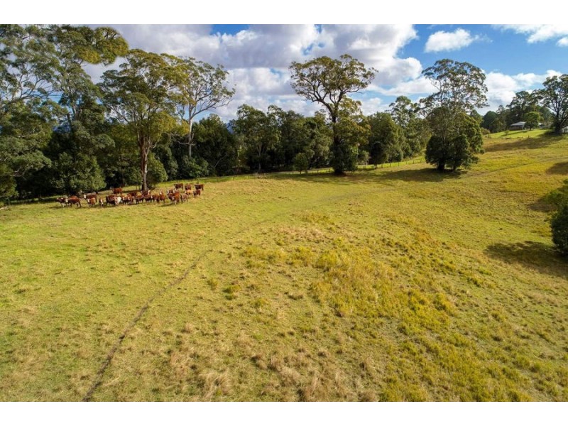 1165 Rodeo Drive, Bowraville NSW 2449