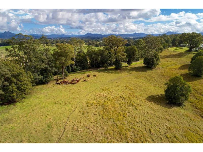 1165 Rodeo Drive, Bowraville NSW 2449