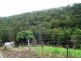 Valla NSW 2448