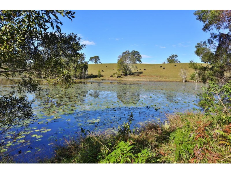 207 Florence Wilmont Drive, Nambucca Heads NSW 2448