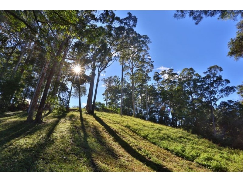 207 Florence Wilmont Drive, Nambucca Heads NSW 2448