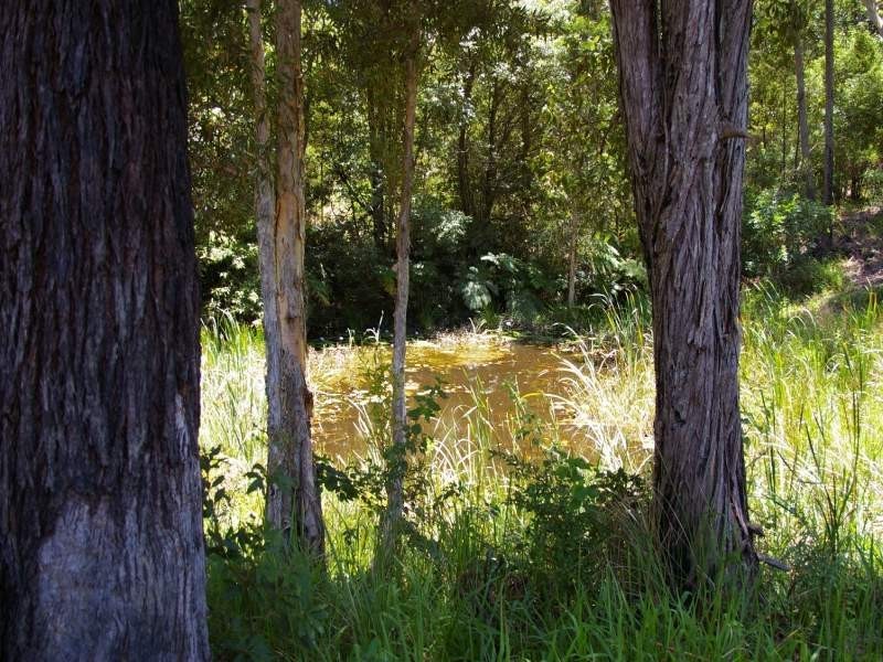 Nambucca Heads NSW 2448