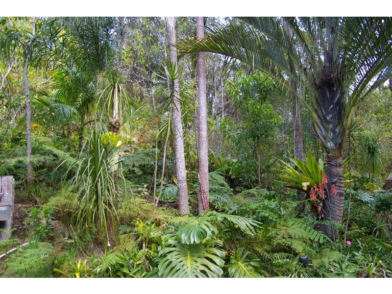 Argents Hill NSW 2449