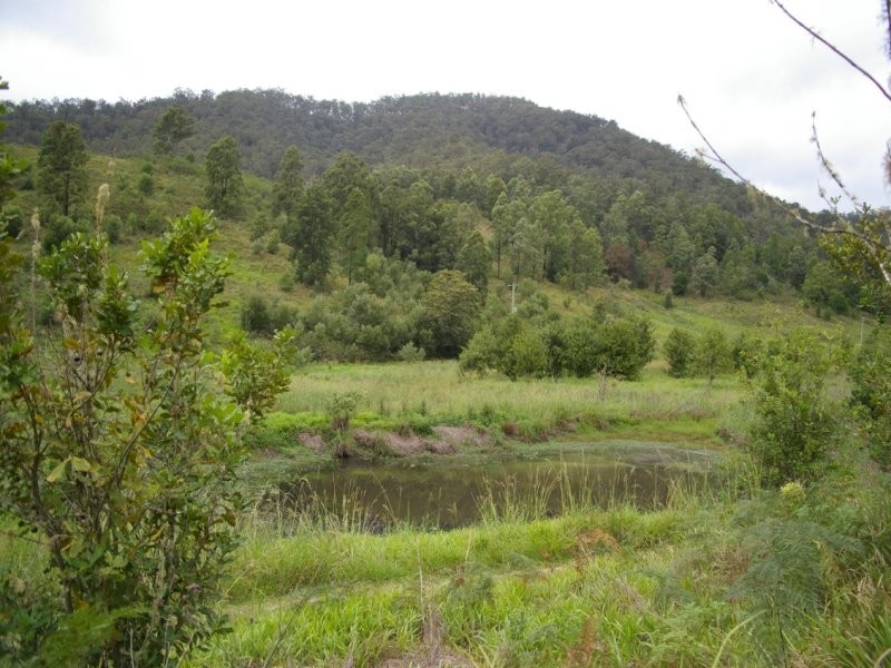 Argents Hill NSW 2449