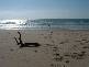 Valla Beach NSW 2448