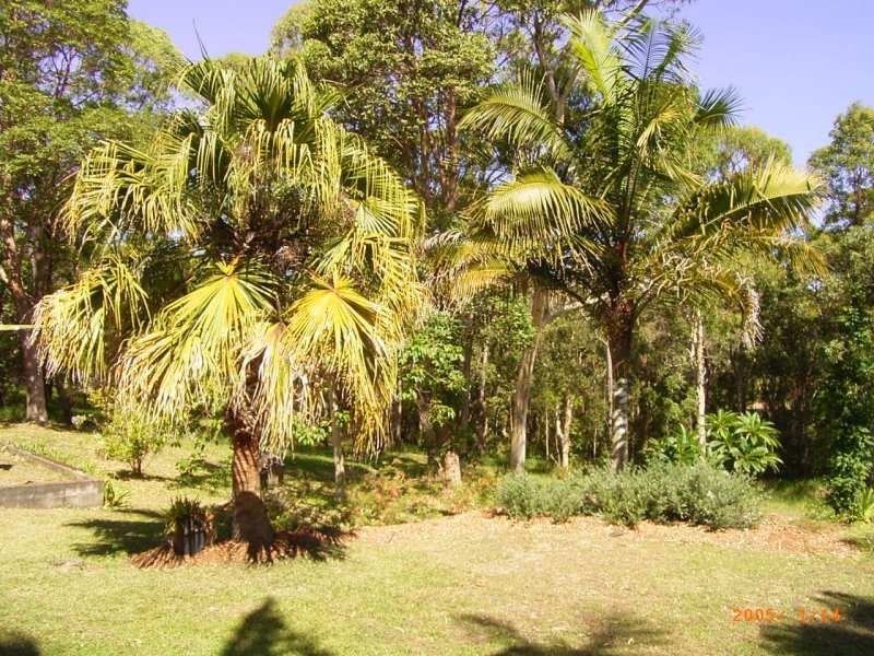 Valla Beach NSW 2448