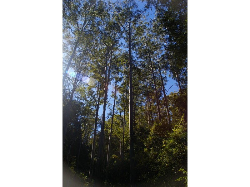 Nambucca Heads NSW 2448