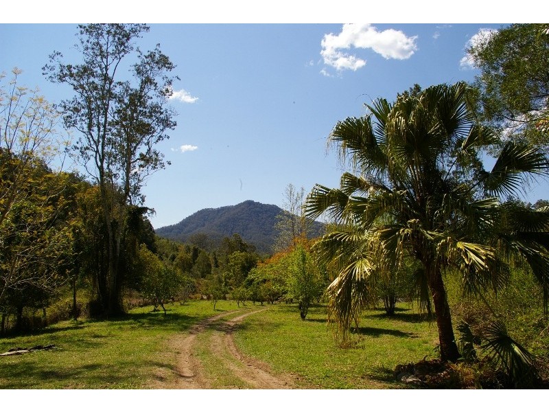 Argents Hill NSW 2449