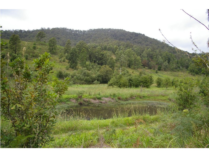 Argents Hill NSW 2449