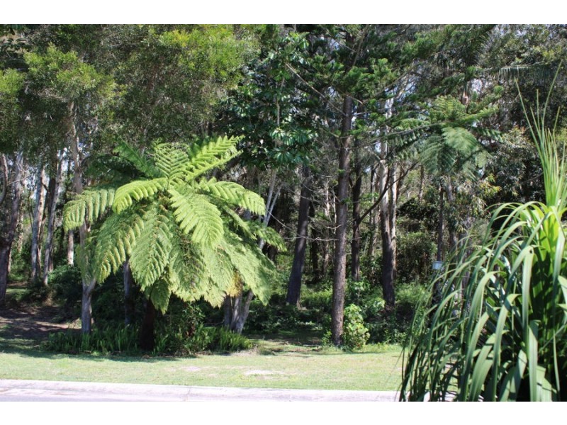 137 Rosewood Drive, Valla Beach NSW 2448
