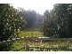 Bellingen NSW 2454