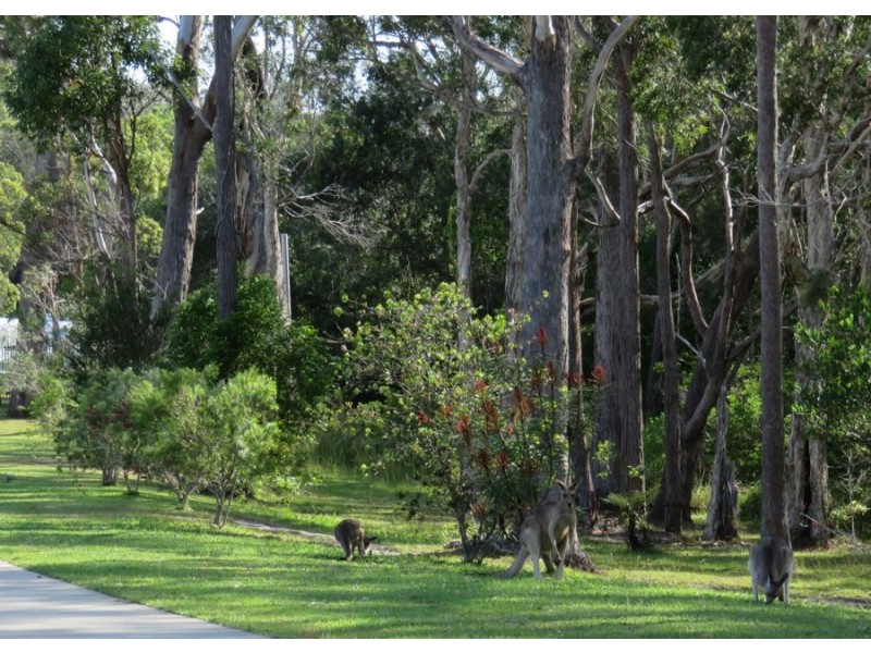 120 WATTLEGROVE TERRACE, Valla Beach NSW 2448