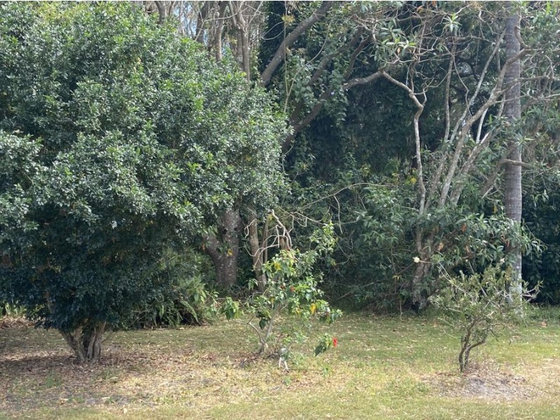 125 ROSEWOOD DRIVE, Valla Beach NSW 2448