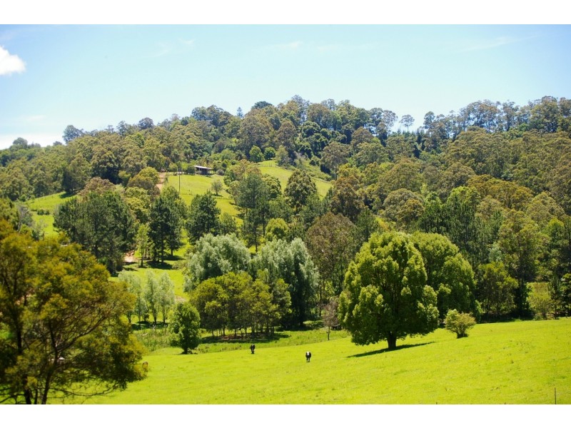 Tewinga NSW 2449