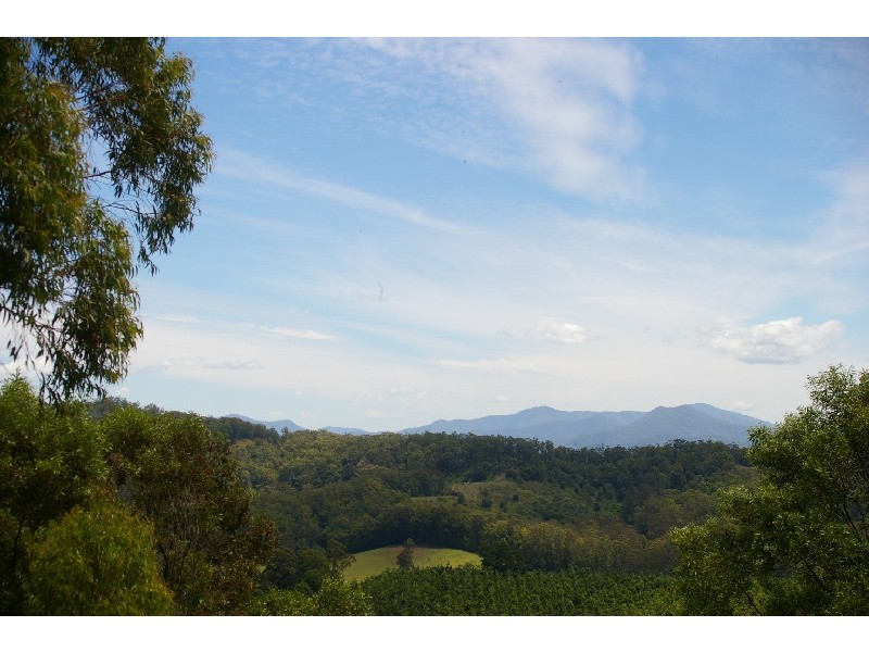 Nambucca Heads NSW 2448