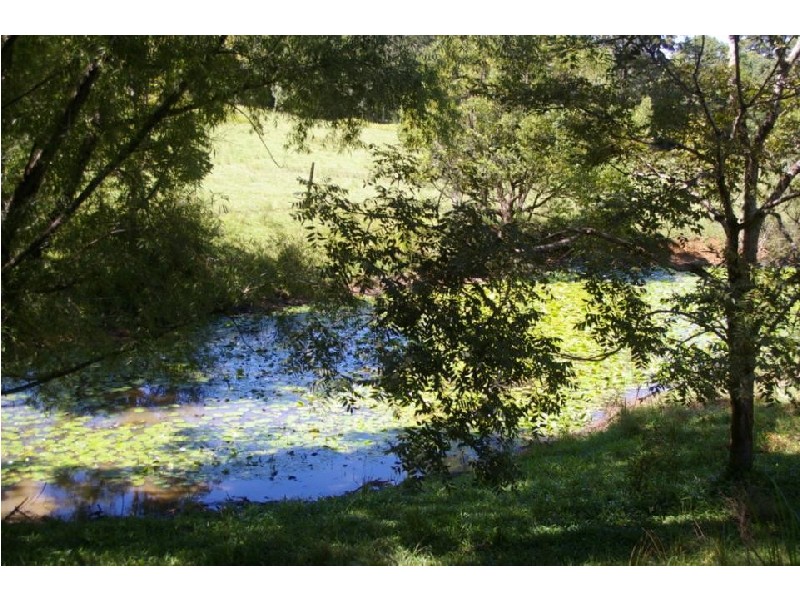 Nambucca Heads NSW 2448