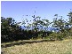 Valla Beach NSW 2448