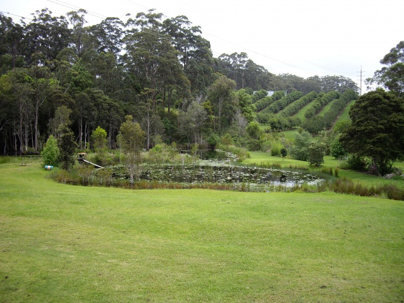 Valla NSW 2448