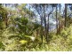 Bellingen NSW 2454
