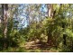 Bellingen NSW 2454