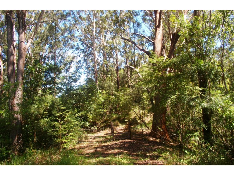 Bellingen NSW 2454