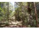 Bellingen NSW 2454