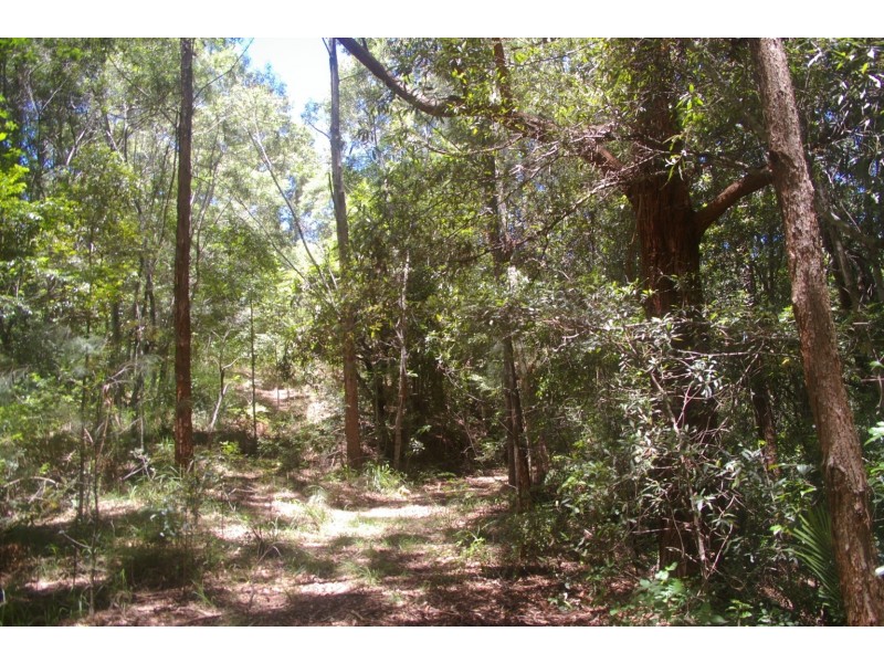 Bellingen NSW 2454