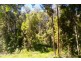 Bellingen NSW 2454