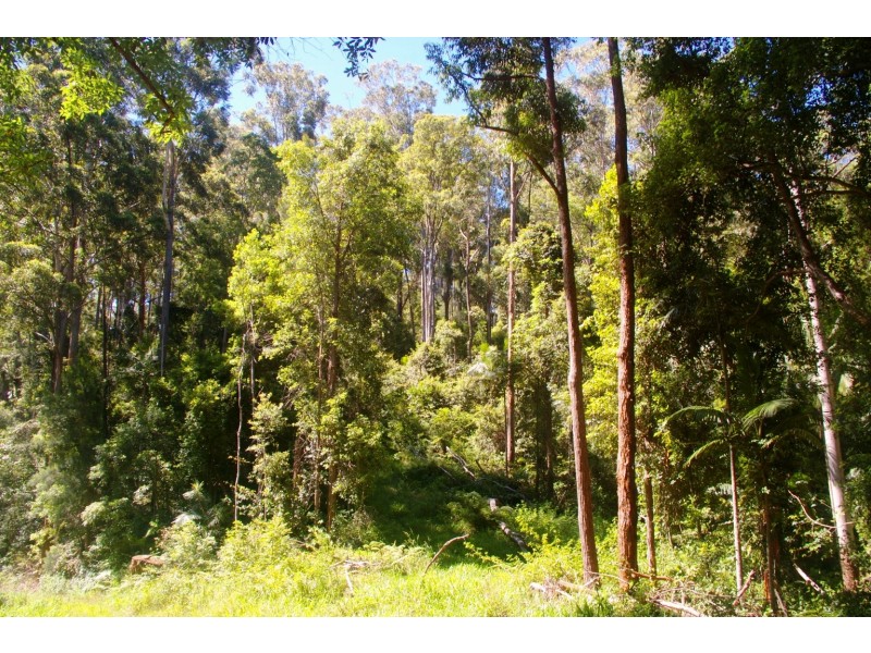 Bellingen NSW 2454