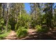 Bellingen NSW 2454