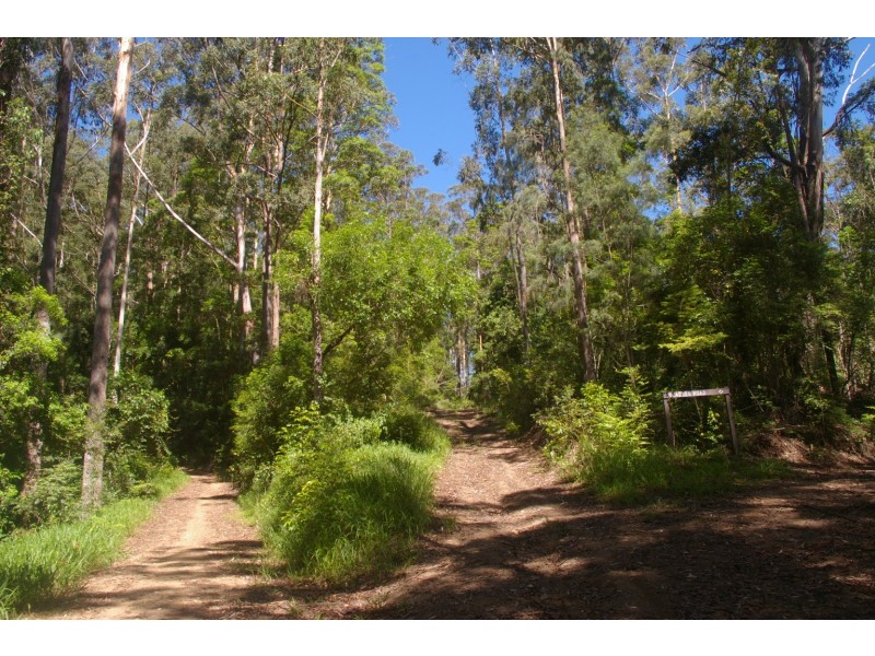 Bellingen NSW 2454