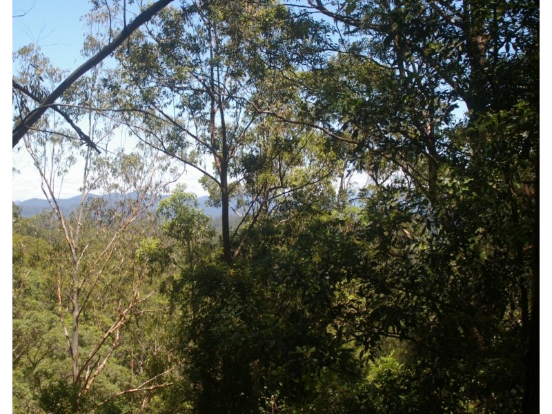 Bellingen NSW 2454
