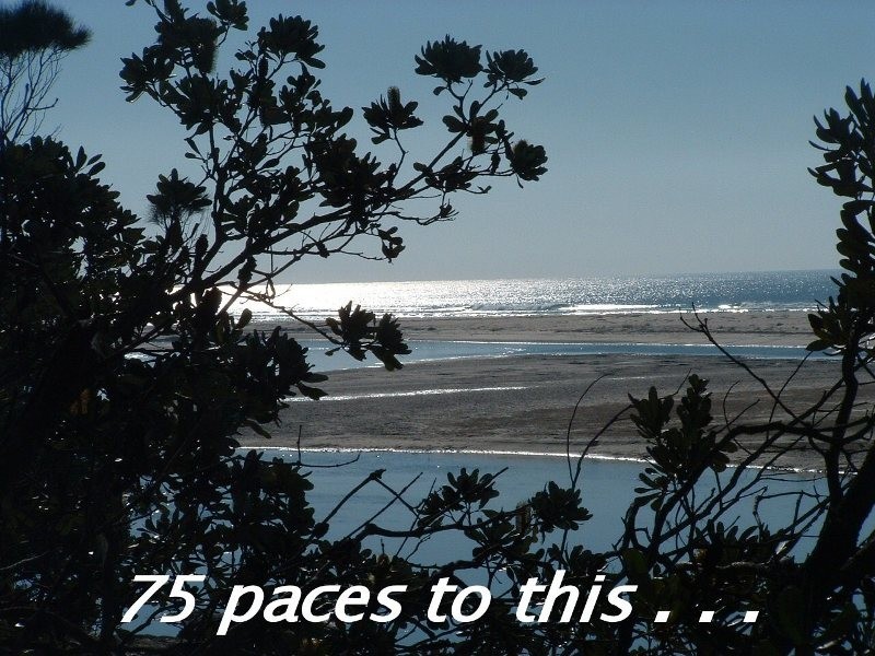 Valla Beach NSW 2448