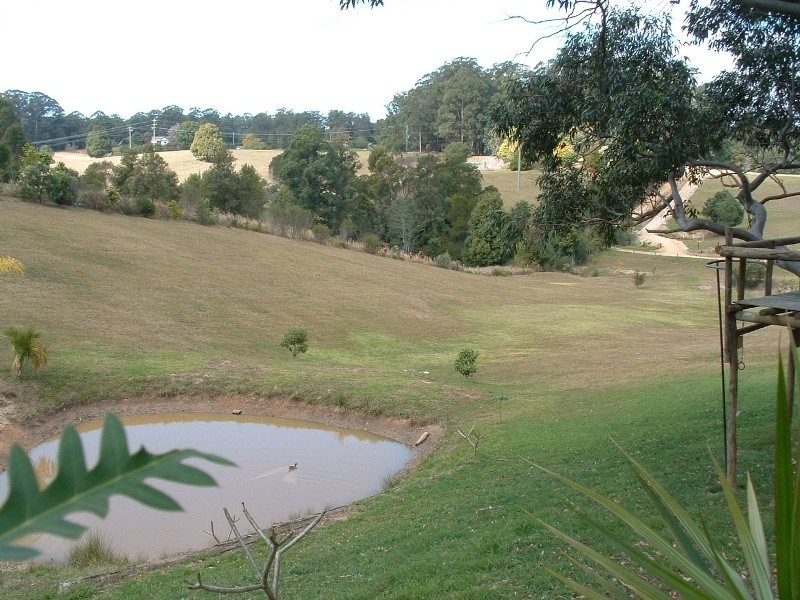 Newee Creek NSW 2447