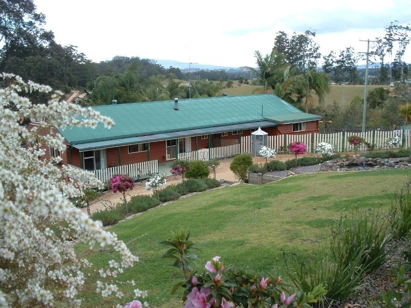 Newee Creek NSW 2447