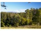 Newee Creek NSW 2447