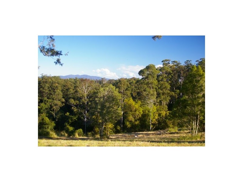 Newee Creek NSW 2447