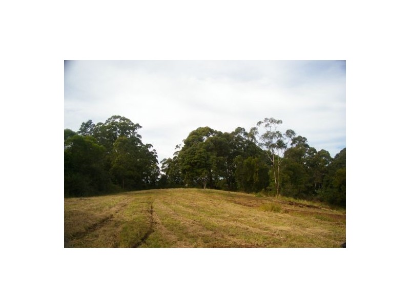 Newee Creek NSW 2447