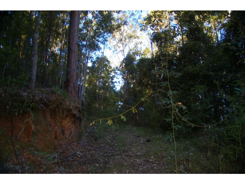 Valla NSW 2448