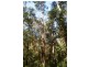 Nambucca Heads NSW 2448