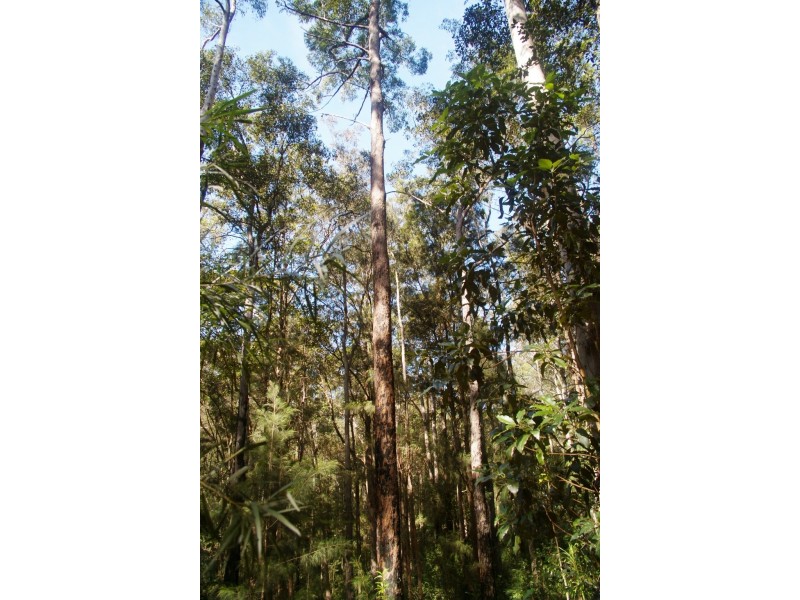 Nambucca Heads NSW 2448