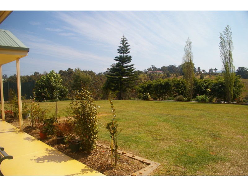 Newee Creek NSW 2447