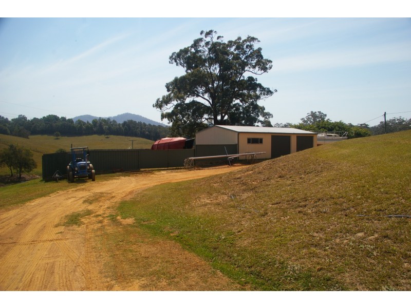 Newee Creek NSW 2447