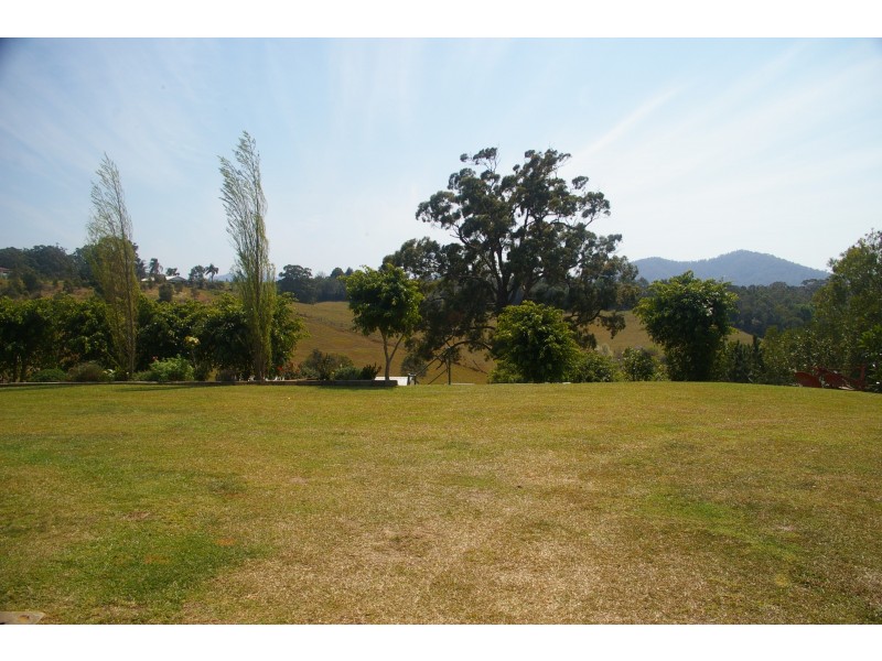 Newee Creek NSW 2447