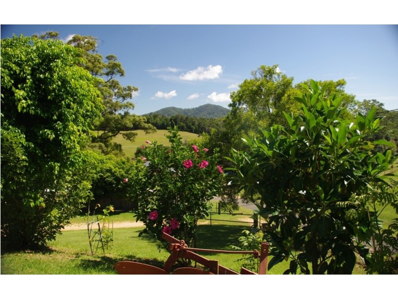 Newee Creek NSW 2447