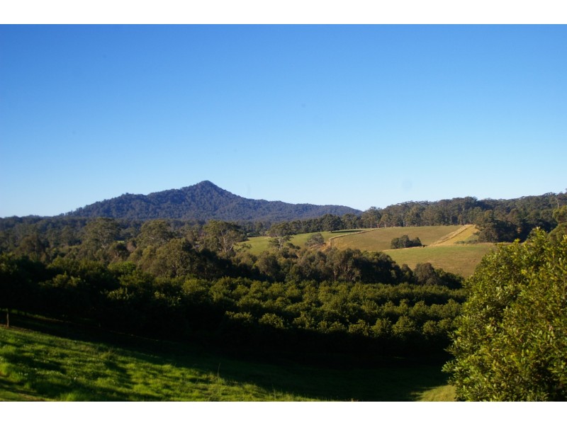 Valla NSW 2448