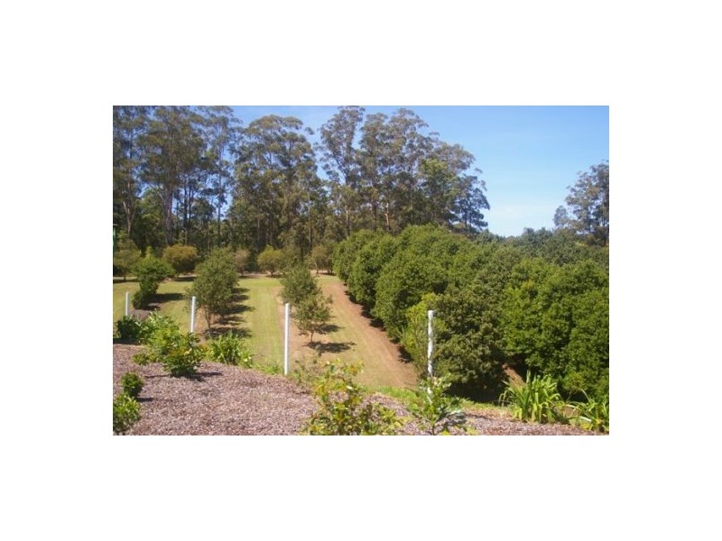 Valla NSW 2448