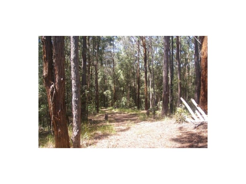 Valla NSW 2448