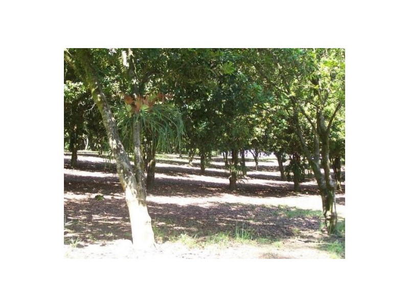 Valla NSW 2448